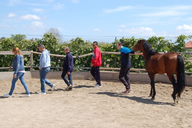 Actividades en grupo